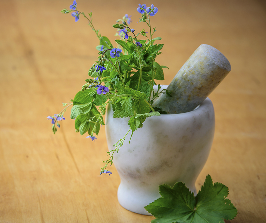 Picture of traditional medical herbs